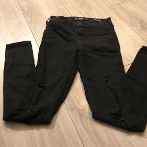 Hollister Jean